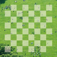Official HIGE DANdism - Chessboard
